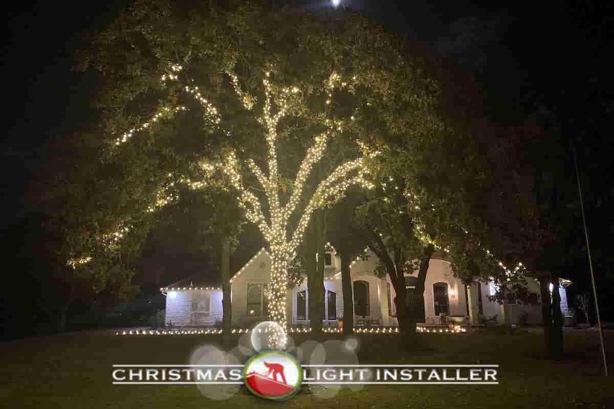 Double Oak Christmas Light Installation