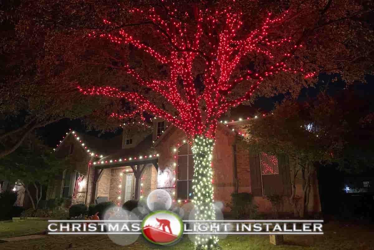 Frisco Christmas Light Installation